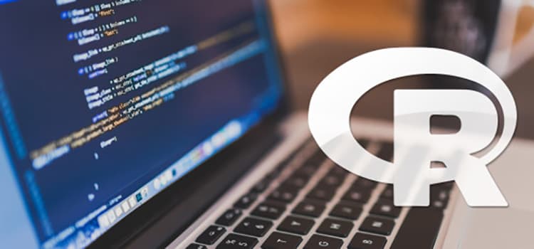 R Programming Language